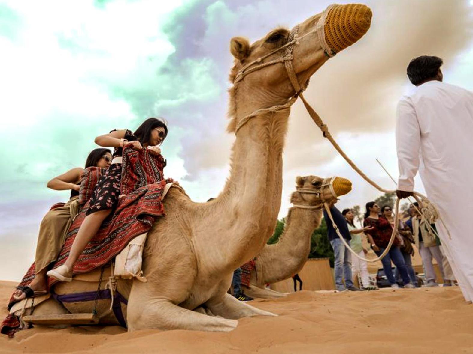 Bedouin Oasis Desert Camp- Ras Al Khaimah Ngoại thất bức ảnh